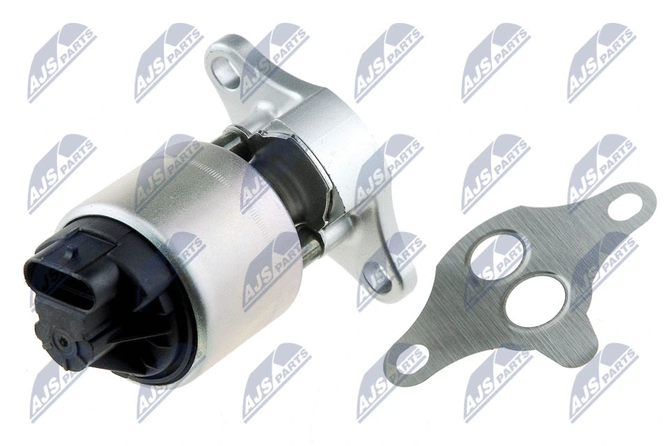 EGR Valve (EGR-PL-007)