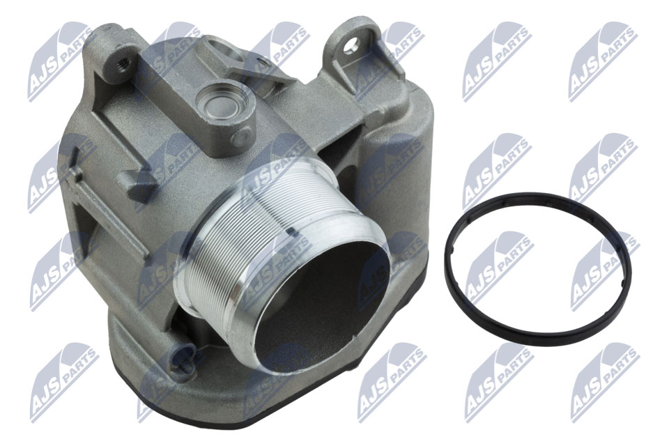 Throttle Body (ETB-FR-006)