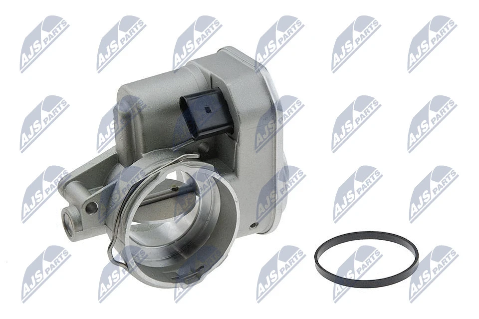 Throttle Body (ETB-VW-009)
