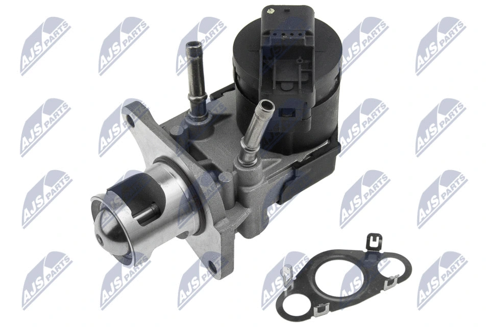 EGR Valve (EGR-BM-009)