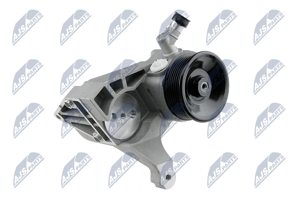 Hydraulic Pump, steering (SPW-CT-006)