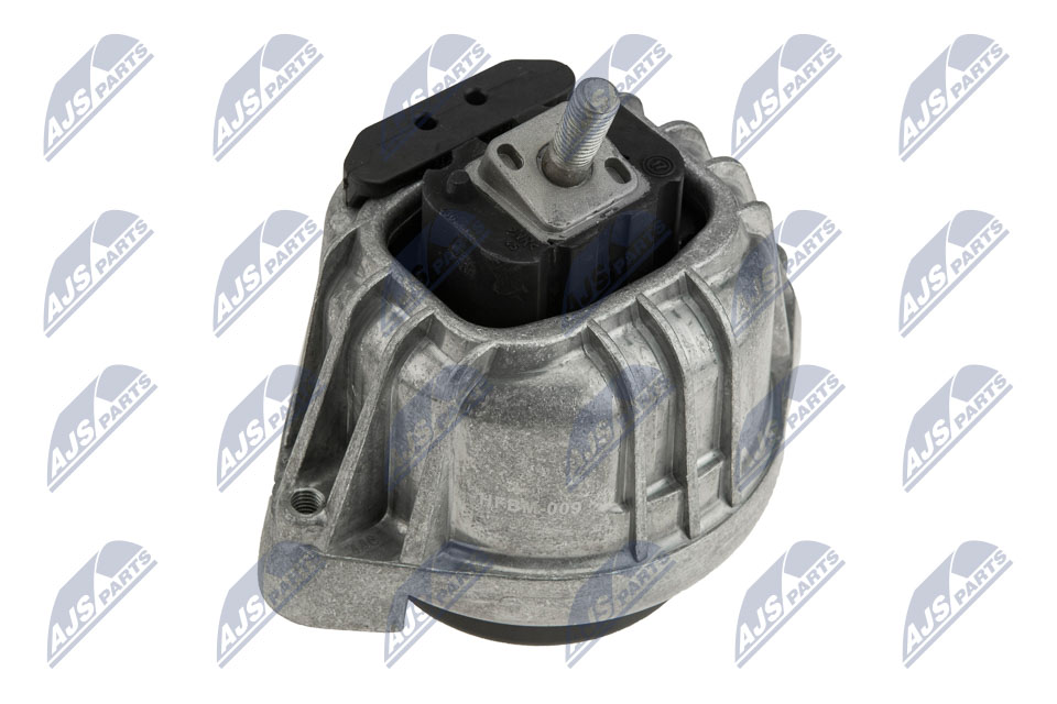 Mounting, engine (ZPS-BM-009)