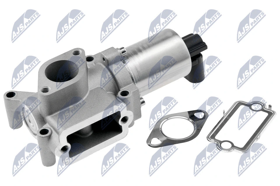 EGR Valve (EGR-FT-012)