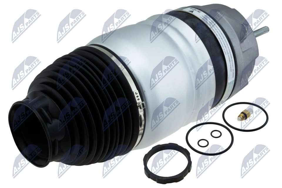 Air Suspension Strut (EZC-PS-019)