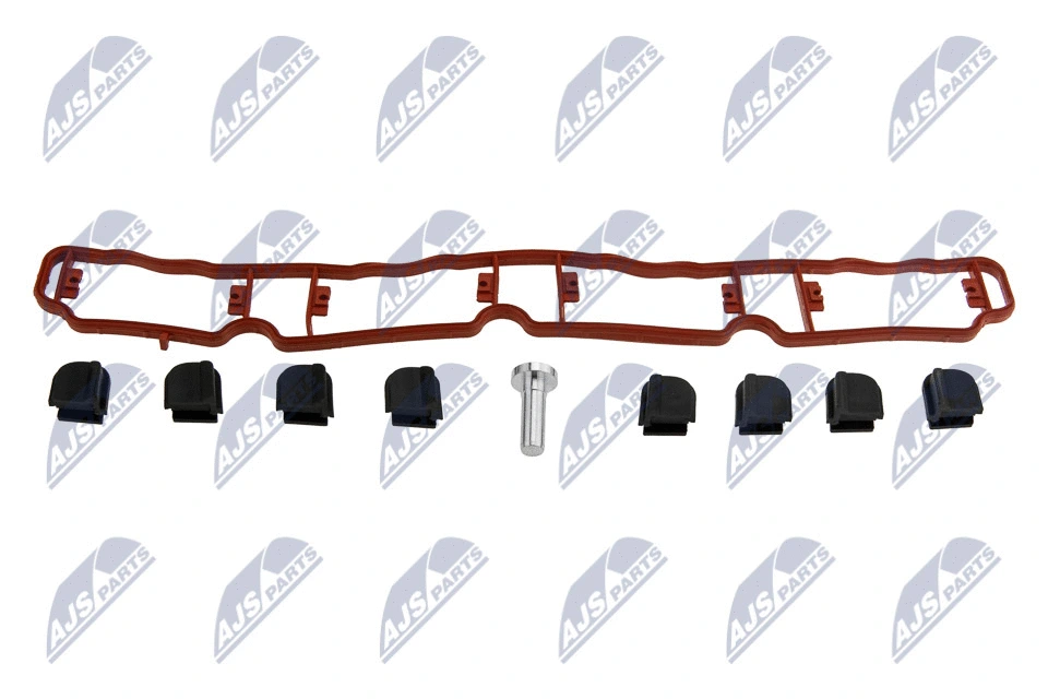 Intake Manifold Module (BKS-VW-013B)