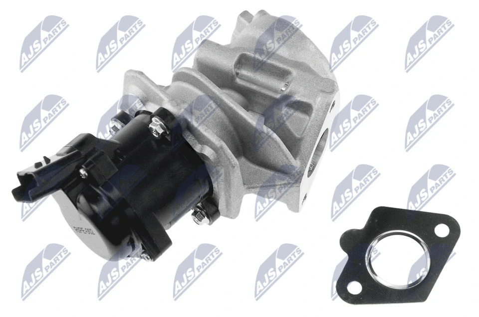 EGR Valve