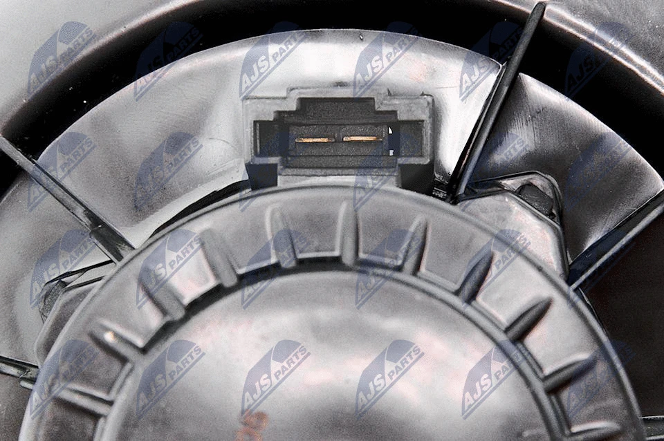 Interior Blower