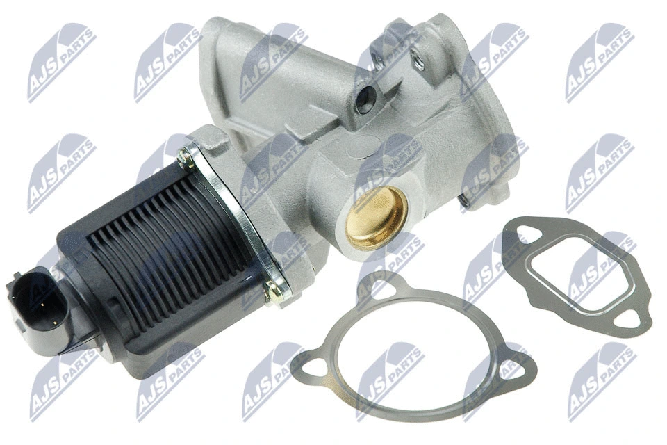 EGR Valve (EGR-FT-000)