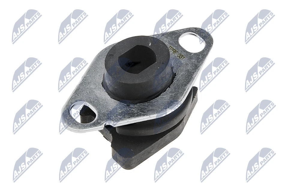 Mounting, engine (ZPS-RE-031)