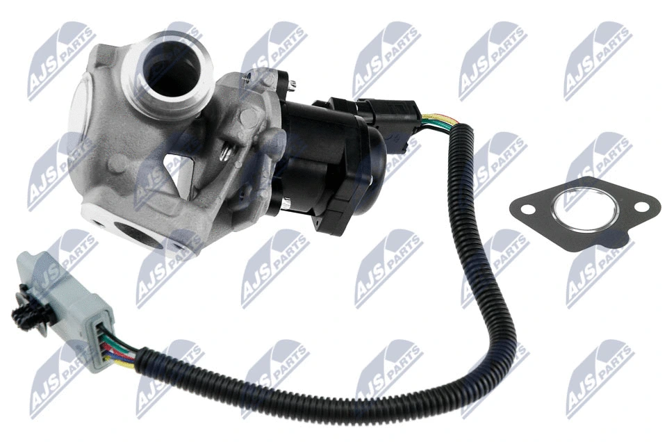 EGR Valve (EGR-FR-005)