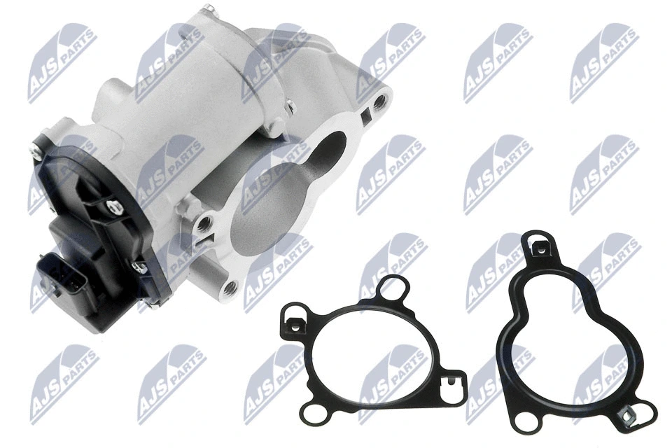 EGR Valve (EGR-RE-005)