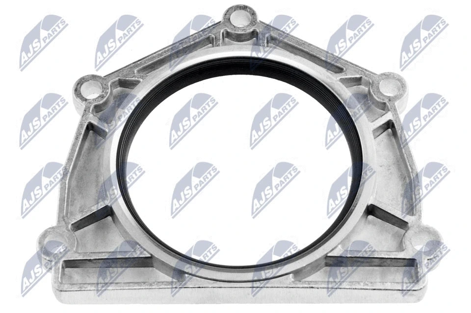 Shaft Seal, crankshaft (NUP-LR-000)
