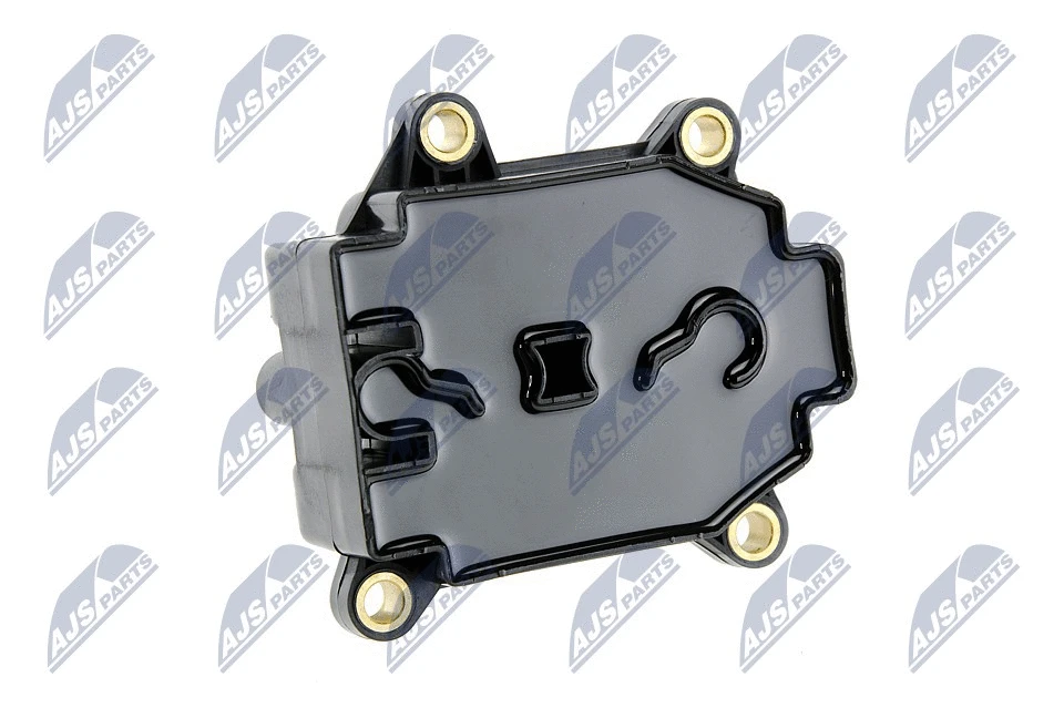 Plug, coil