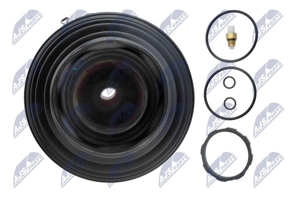 Air Suspension Strut