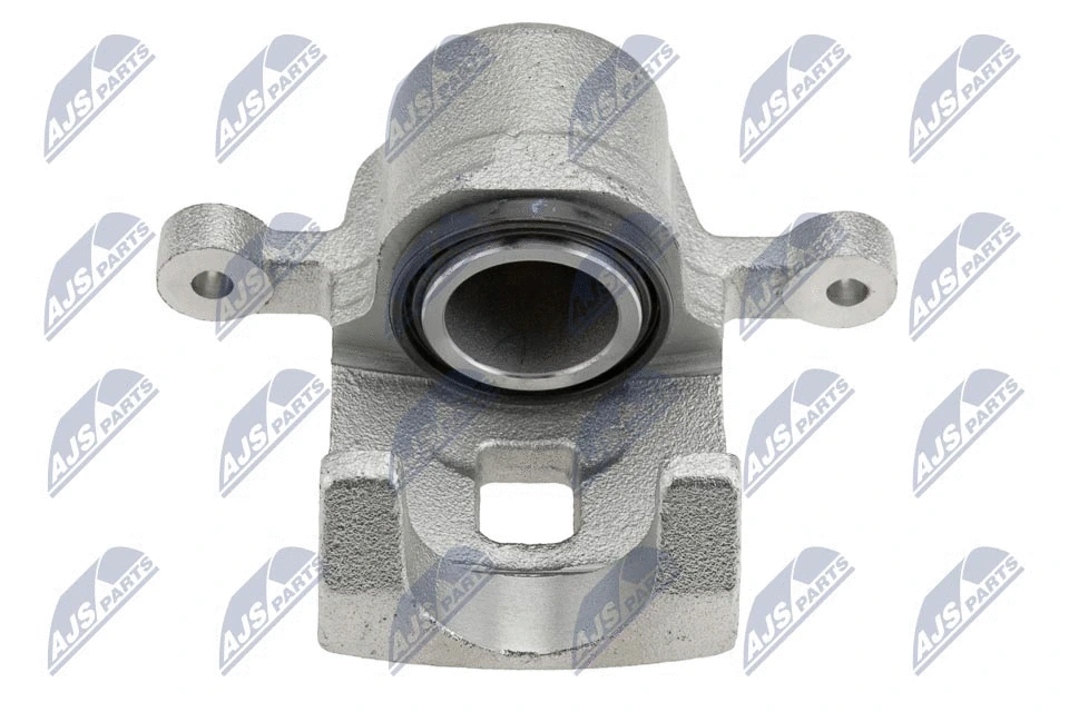 Brake Caliper (HZT-DW-006)