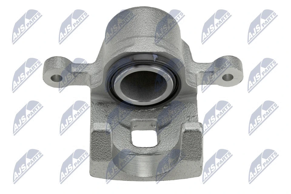 Brake Caliper (HZT-DW-007)