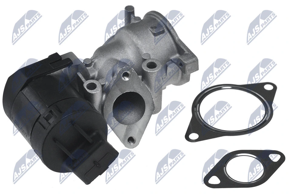 EGR Valve (EGR-CT-002)
