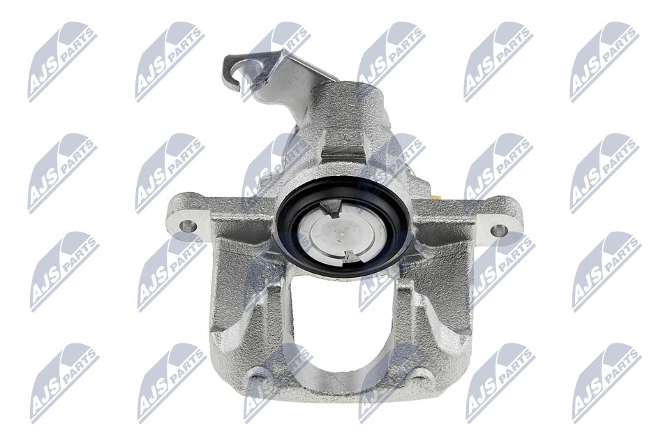 Brake Caliper (HZT-CH-009)