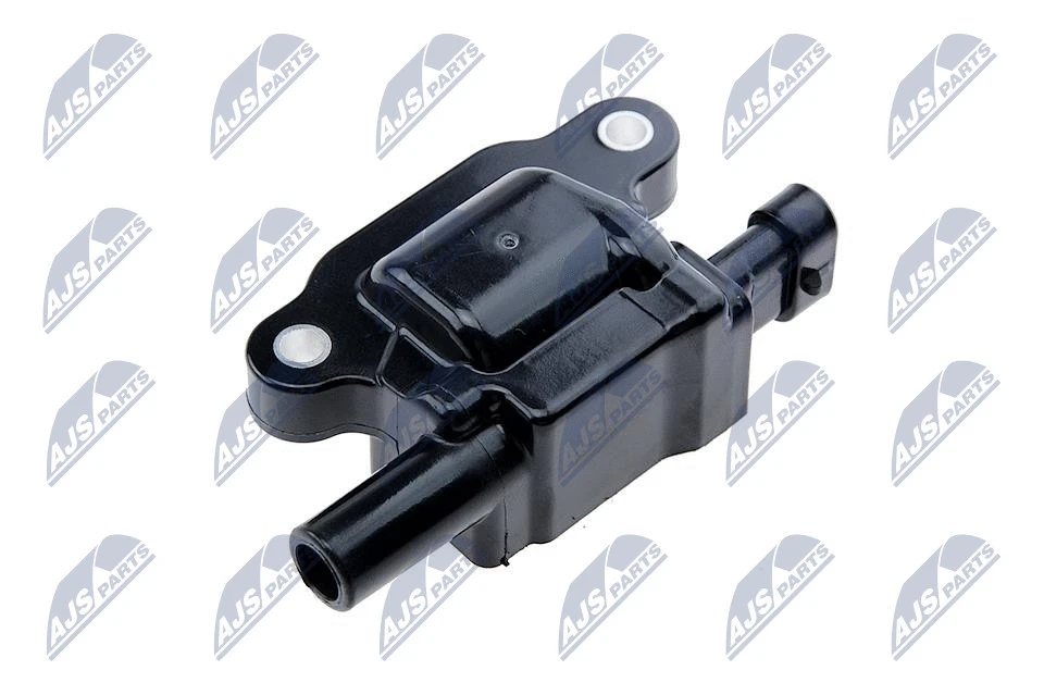 Ignition Coil (ECZ-CH-031)