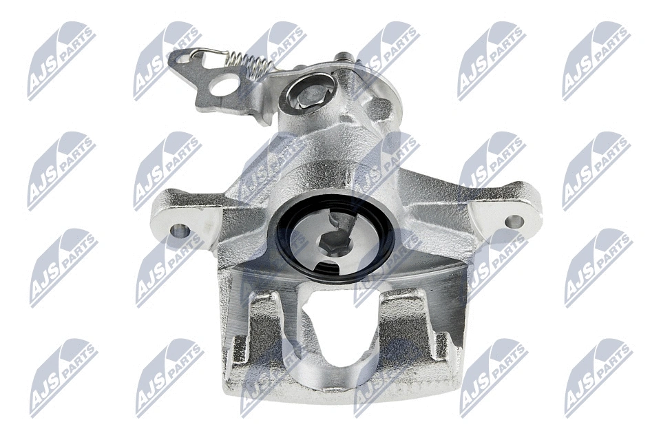 Brake Caliper (HZT-JG-001)