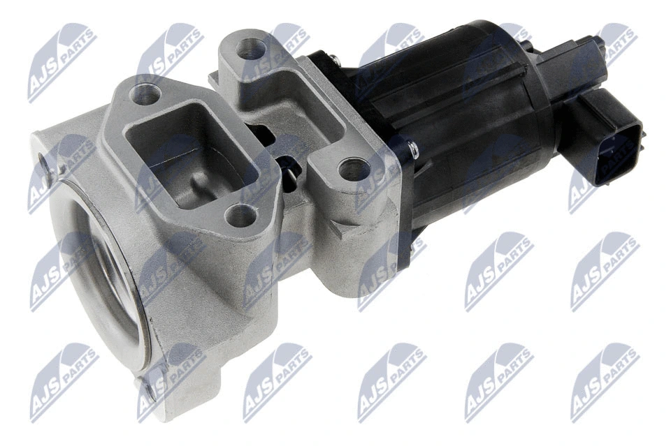 EGR Valve (EGR-PL-018)