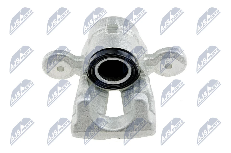 Brake Caliper (HZT-BM-029)
