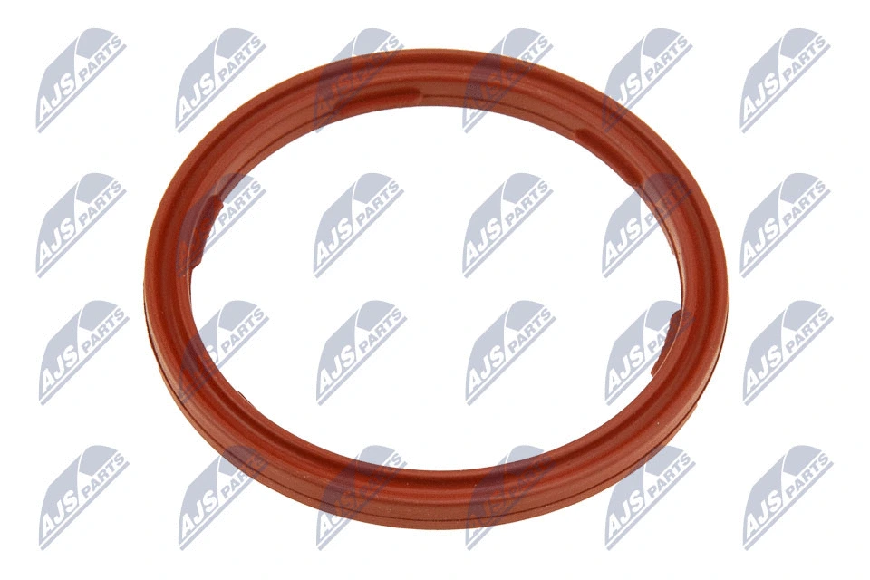 Seal Ring, engine oil level sensor (EPO-BM-010)