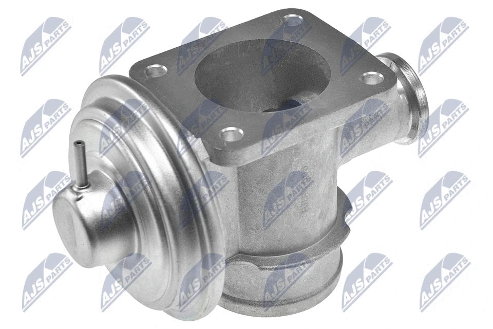 EGR Valve (EGR-BM-006)