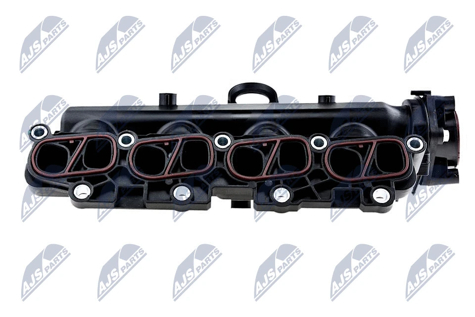 Intake Manifold Module