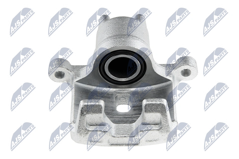 Brake Caliper (HZT-MS-012)