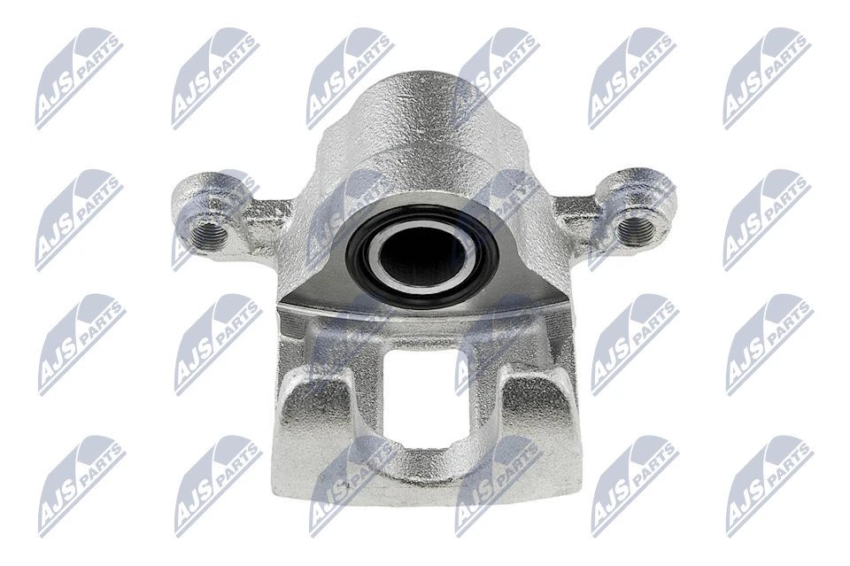Brake Caliper (HZT-NS-020)