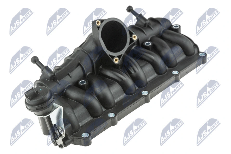 Intake Manifold Module