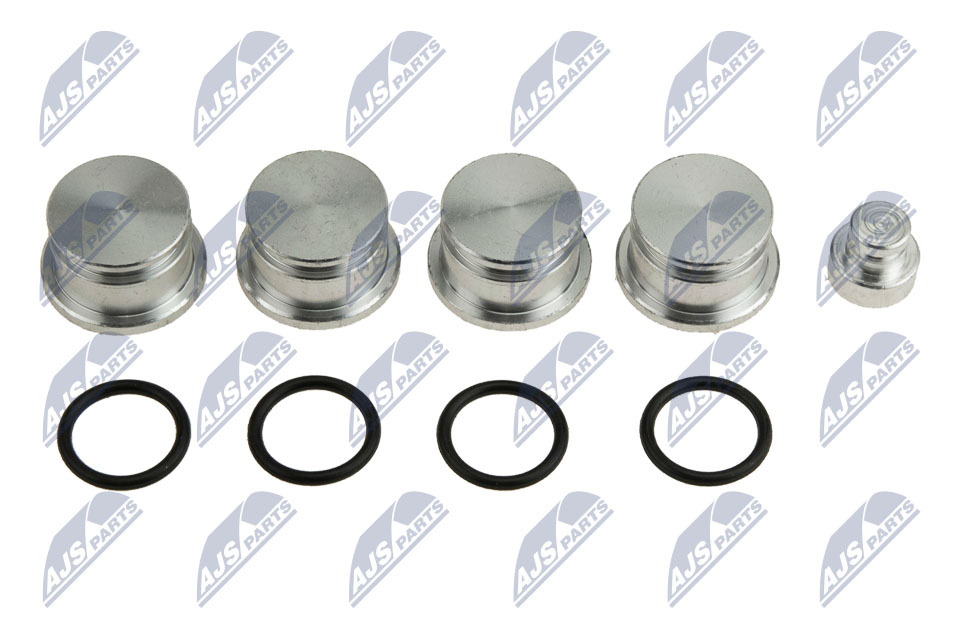 Repair Kit, intake manifold module (BKS-PL-007A)