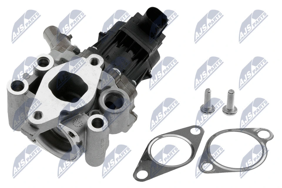 EGR Valve (EGR-FT-010)