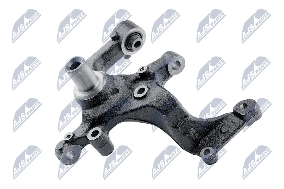 Steering Knuckle, wheel suspension (ZZT-AU-000)