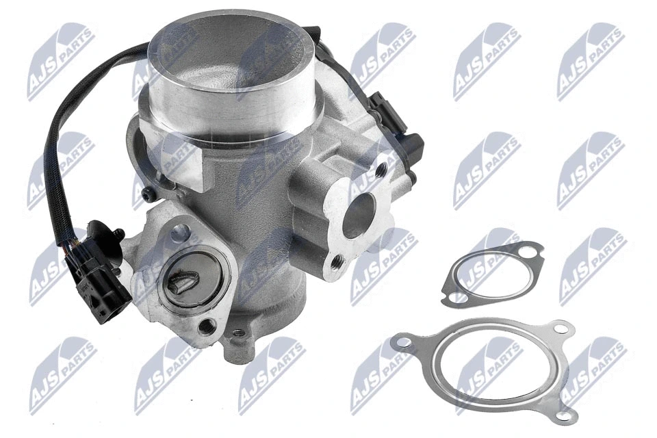 EGR Valve (EGR-RE-012)