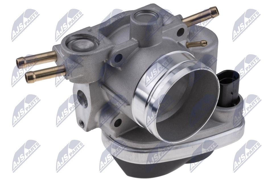 Throttle Body (ETB-AU-010)