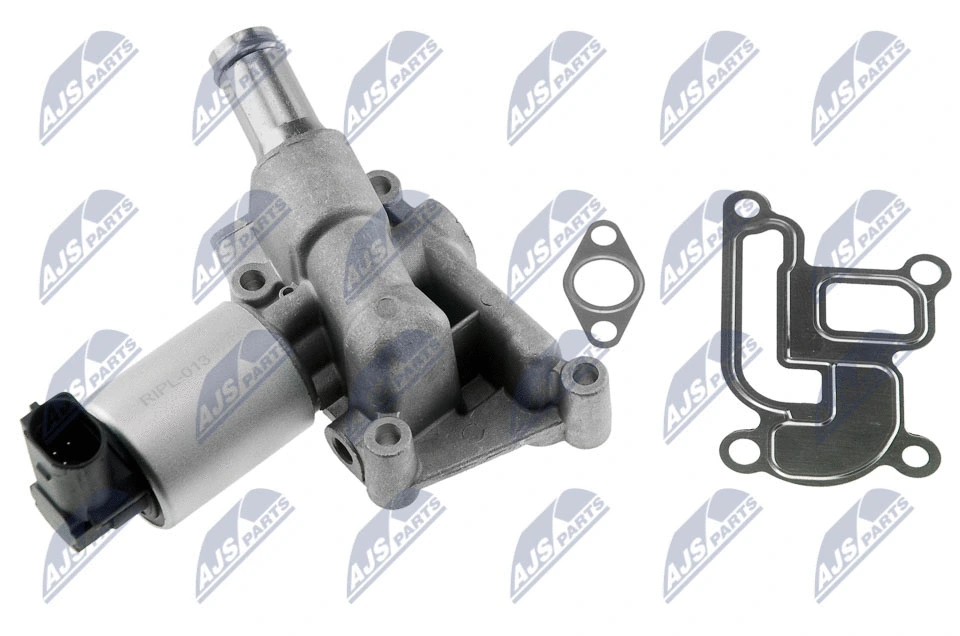EGR Valve (EGR-PL-013)