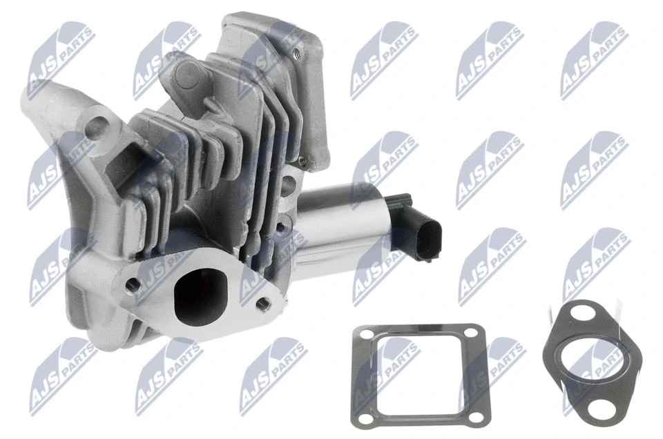 EGR Valve (EGR-RE-006)