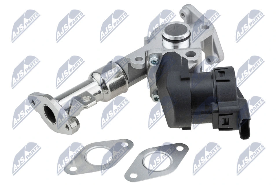EGR Valve (EGR-BM-017)
