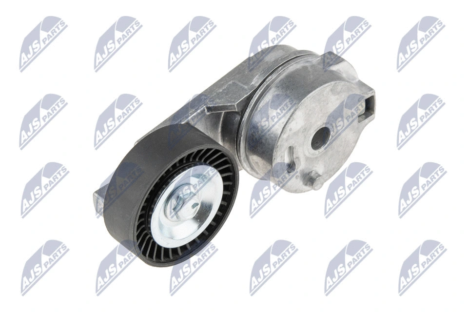 Tensioner Pulley, V-ribbed belt (RNK-CH-011)