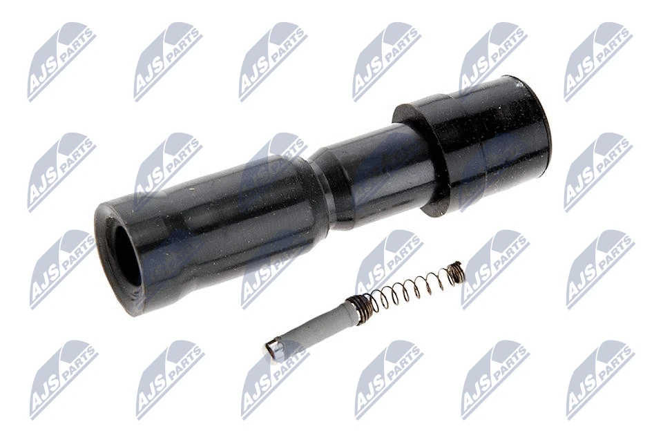 Plug, coil