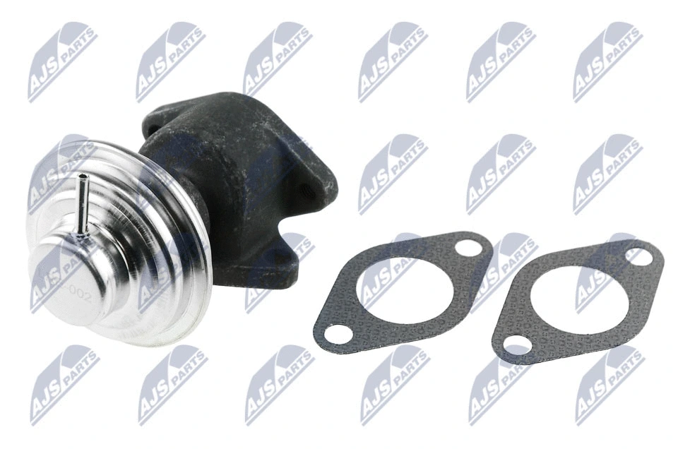 EGR Valve (EGR-RE-002)