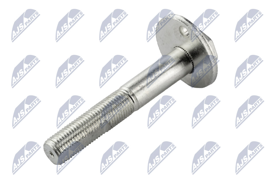 Camber Correction Screw