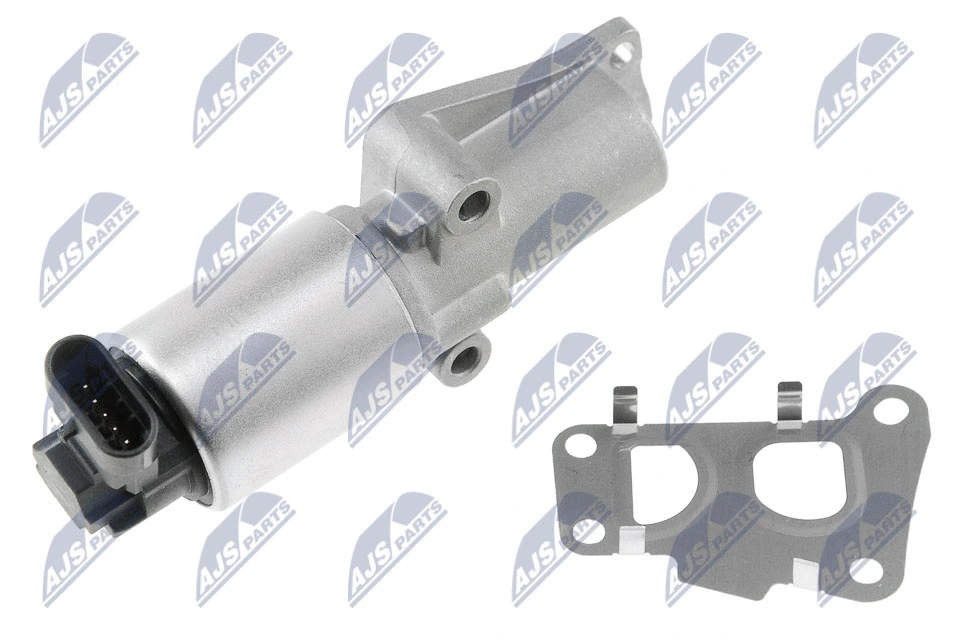 EGR Valve (EGR-PL-008)