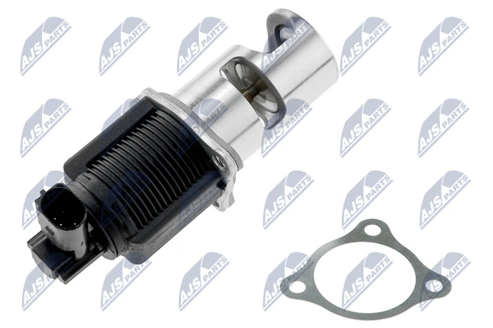 EGR Valve (EGR-NS-001)