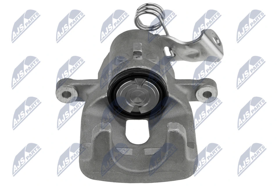 Brake Caliper (HZT-FT-018)