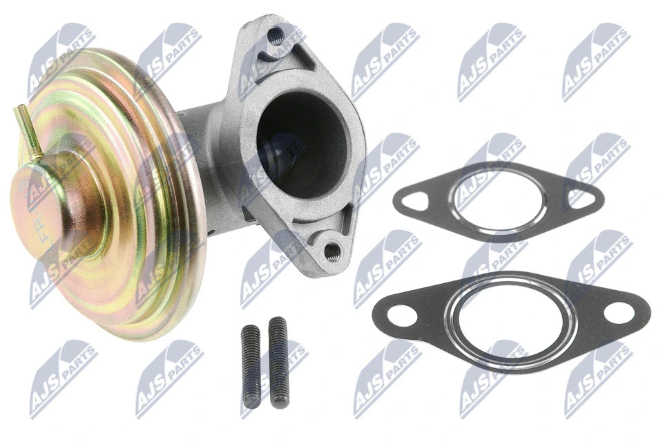 EGR Valve (EGR-FR-013)