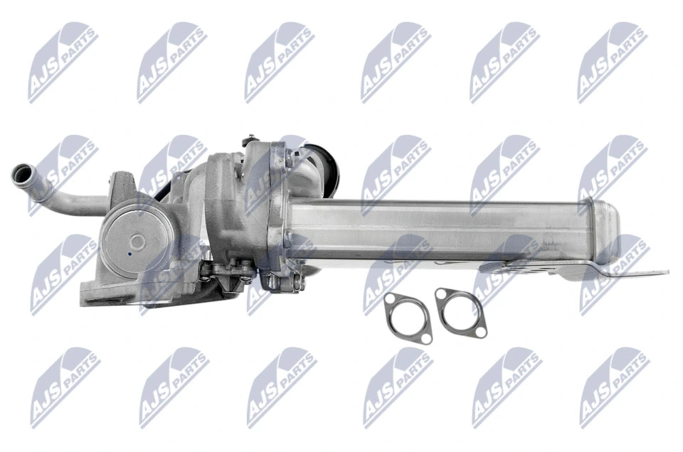 EGR Module