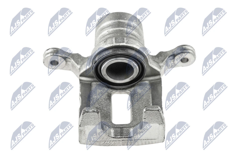 Brake Caliper (HZT-NS-031)